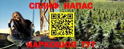 дживик Кунгур